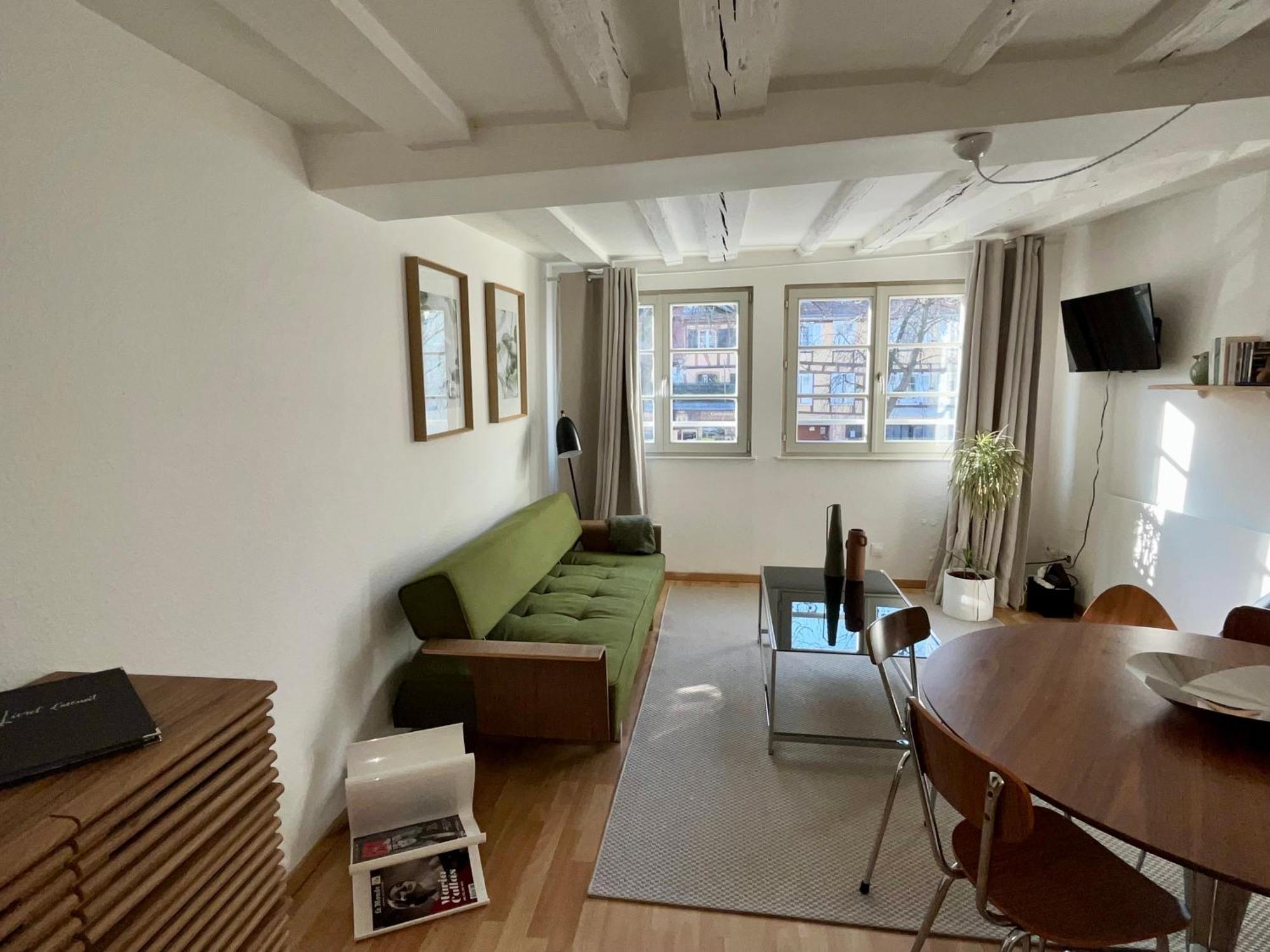 Chez Samuel 3 Pieces Au Coeur De La Krutenau Apartment *
