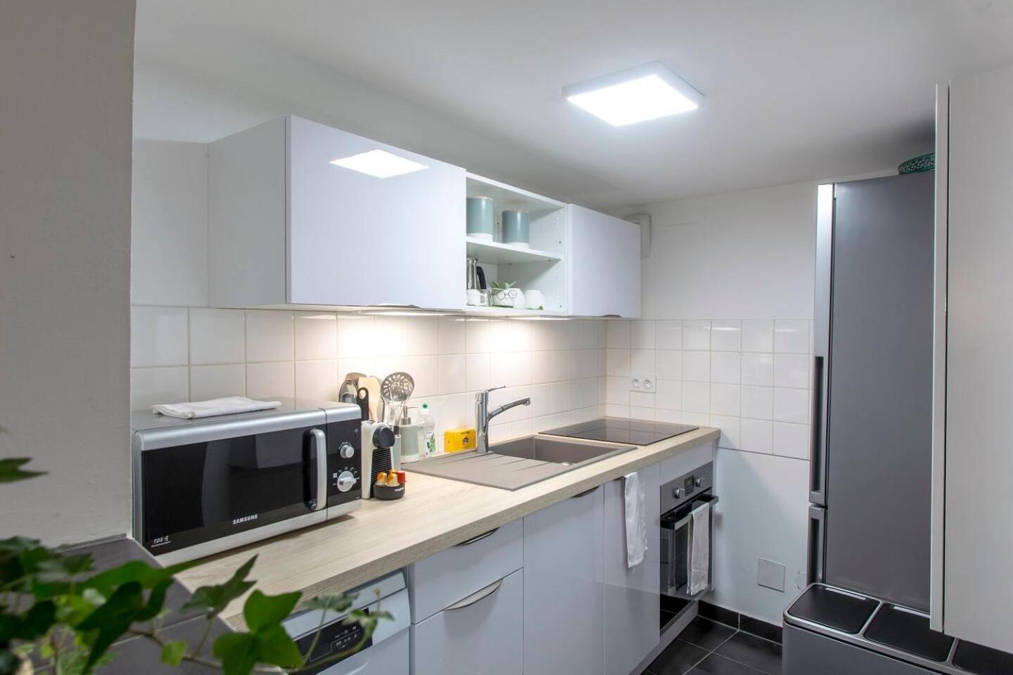 Apartment Chez Samuel 3 Pieces Au Coeur De La Krutenau
